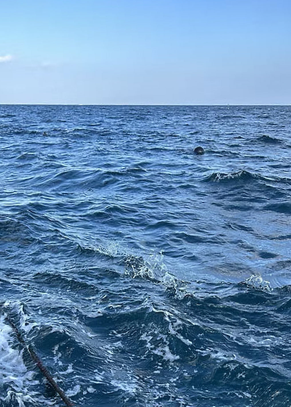 SEA BASE SERIES